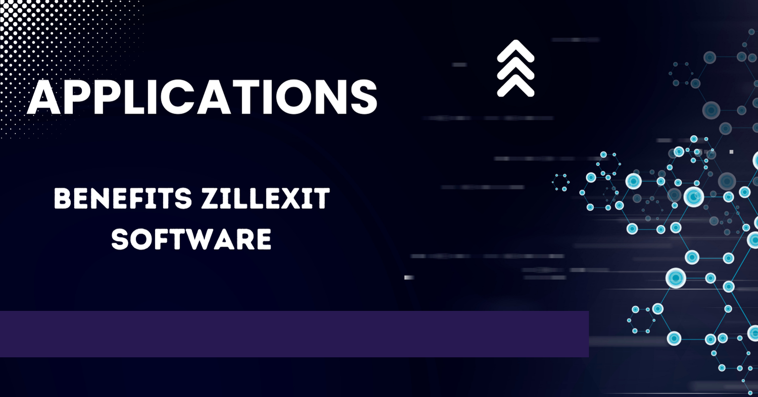 What is Application in Zillexit Software?