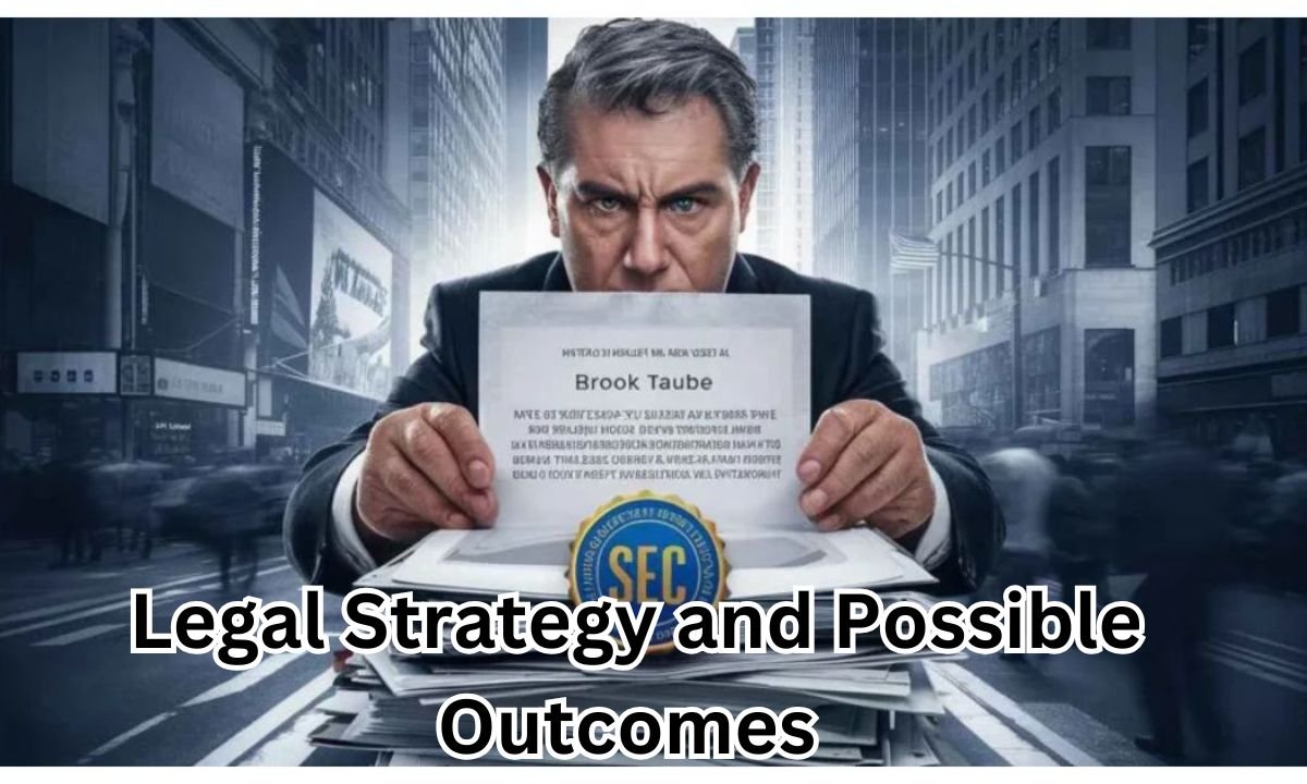 Legal Strategy and Possible Outcomes 