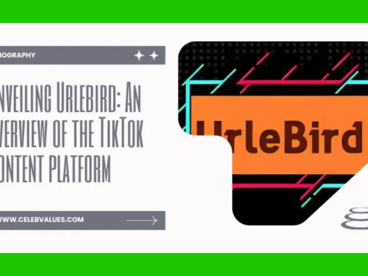 Unveiling Urlebird: A Complete Guide to the TikTok Content Platform