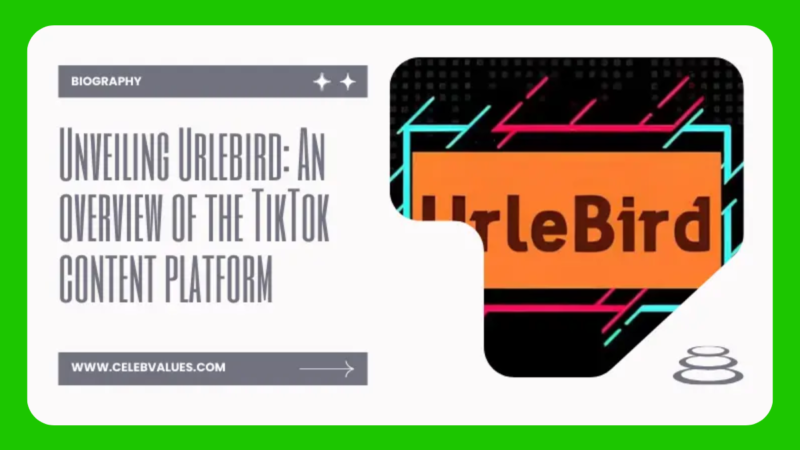 Unveiling Urlebird: A Complete Guide to the TikTok Content Platform